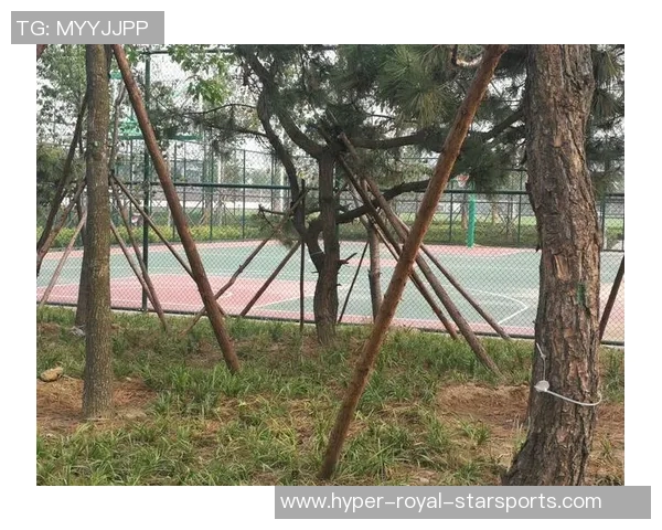 日照篮球场:激情四溢的运动圣地与青少年成长的摇篮 日照篮球场:激情四溢的运动圣地与青少年成长的摇篮